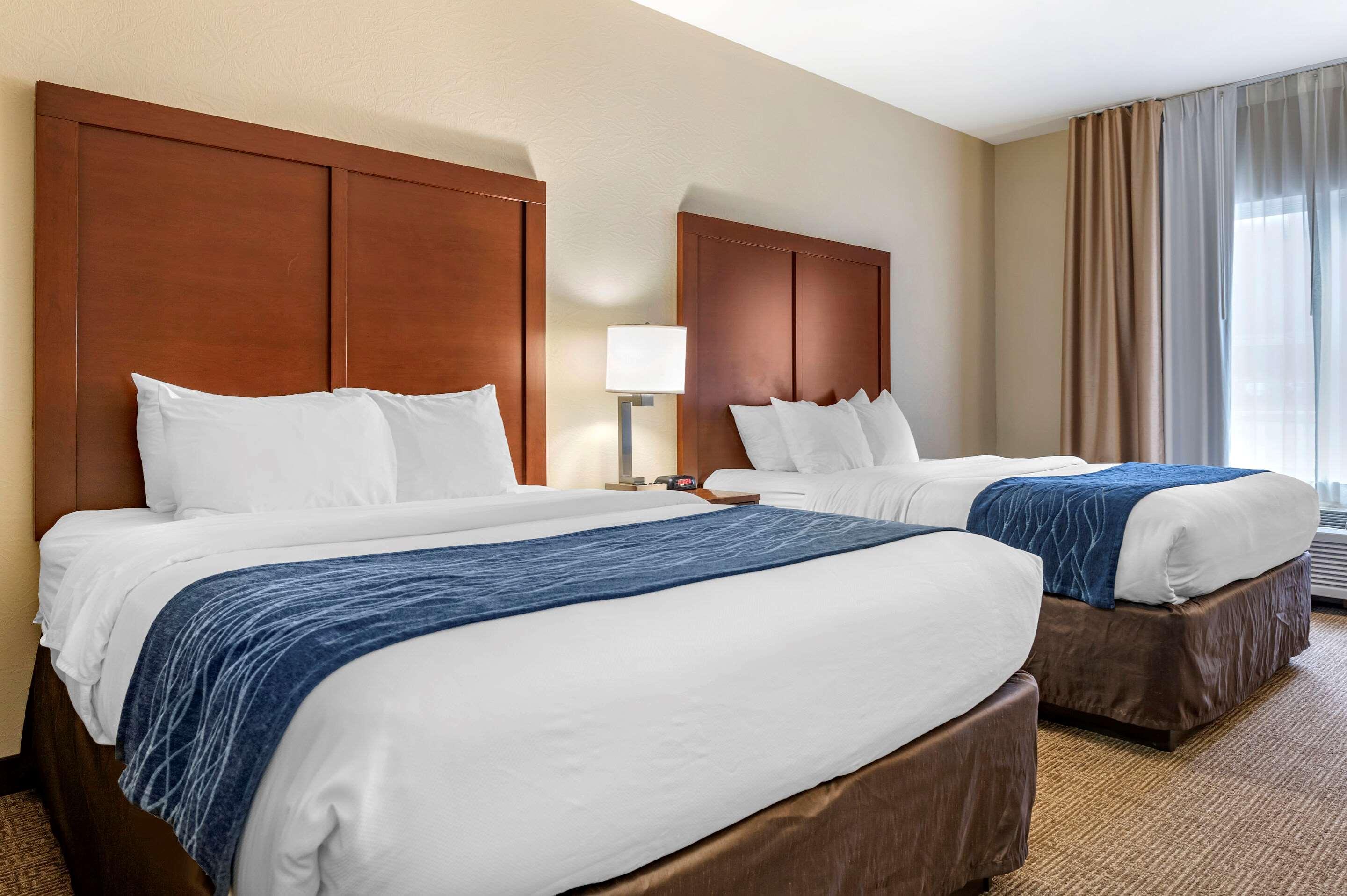 Comfort Inn & Suites Northern Kentucky Wilder Exteriör bild